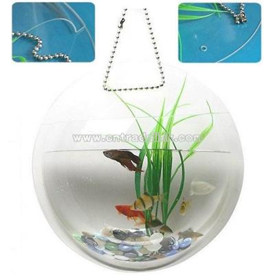 Mini Aquarium