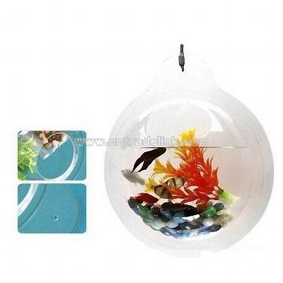 Mini Aquarium