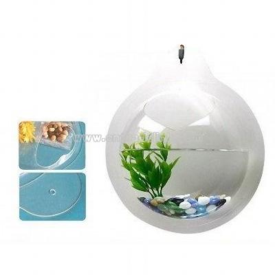 Mini Aquarium