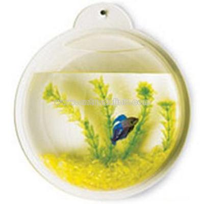 Mini Aquarium