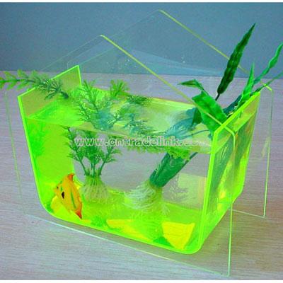 Mini Aquarium