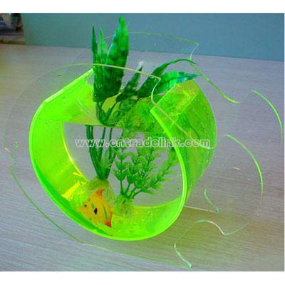 Mini Aquarium