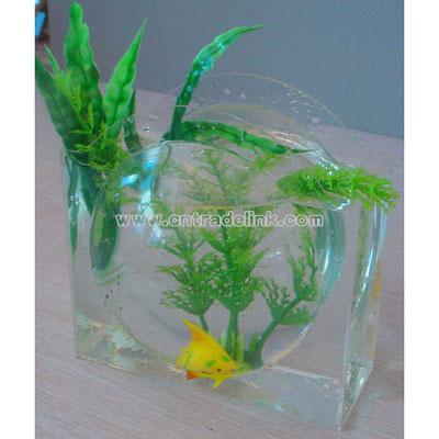 Mini Aquarium