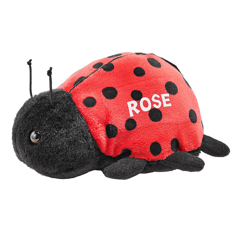Mini Personalized Plushies