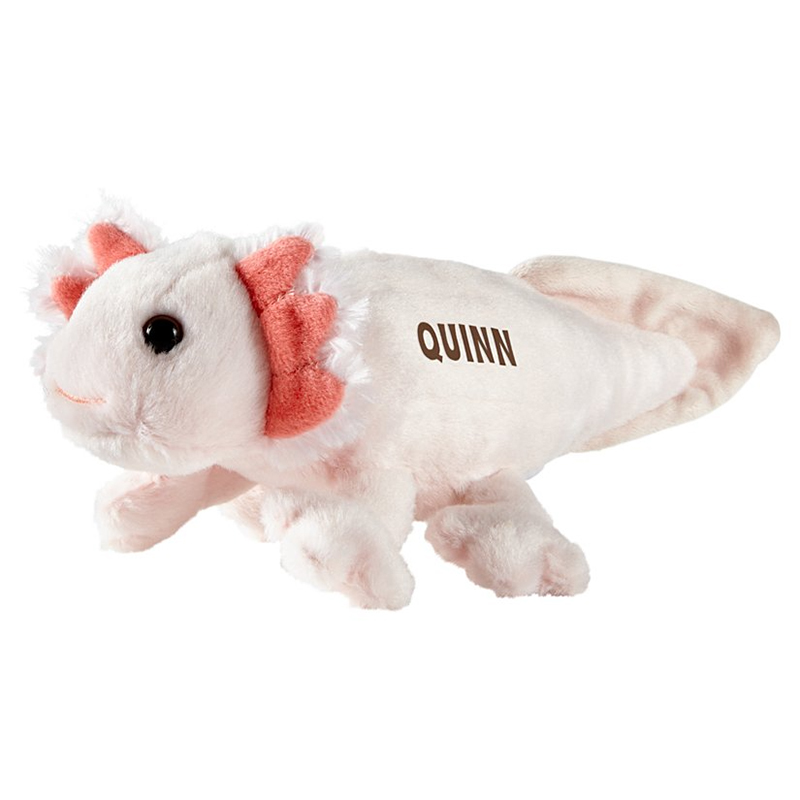 Mini Personalized Plushies