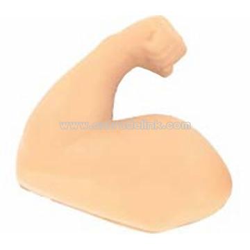 Muscle Arm Stress Ball