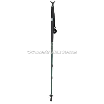 Nordic Walking