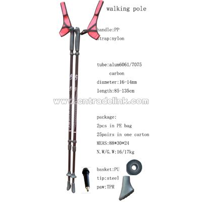 Nordic Walking