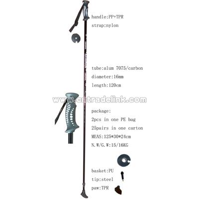 Nordic Walking