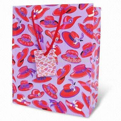 Paper Shopping/Gift Bags