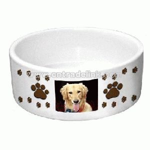 Pet Bowl