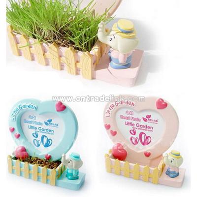 Photo Frame-Photo Albume With Grass Plant