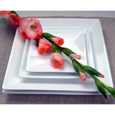 Porcelain Plate