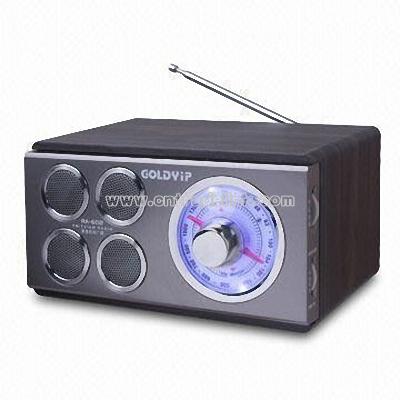 Portable Wooden Radio with AC and DC input