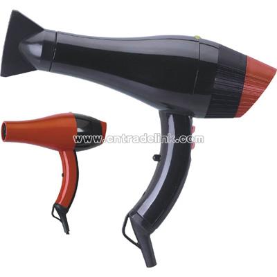Professional Hair Dryer