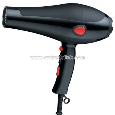 Professional Hair Dryer