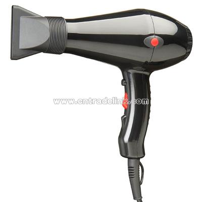 Professional Hair Dryer