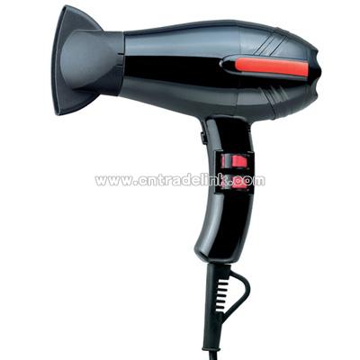 Professional Hair Dryer