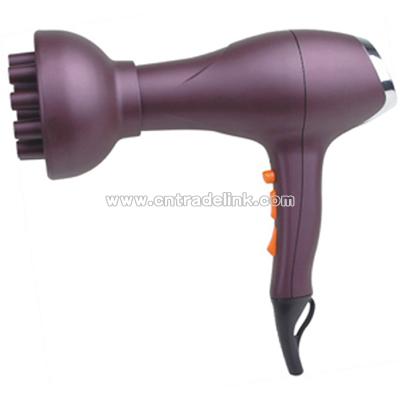 Professional Hair Dryer