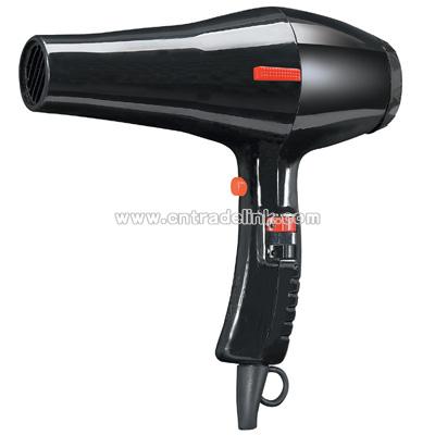 Professional Hair Dryer