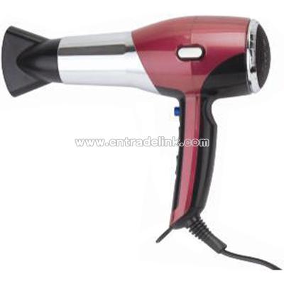 Professional Hair Dryer