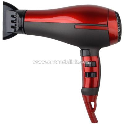 Professional Hair Dryer