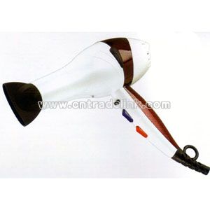 Professonal Hair Dryer