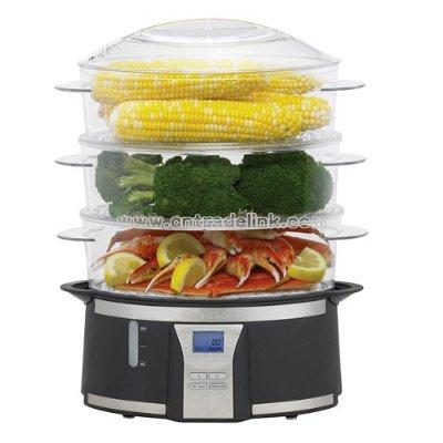 Programmable Food Steamer