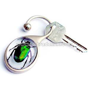 Real Insect in Acrylic Resin Key Chains