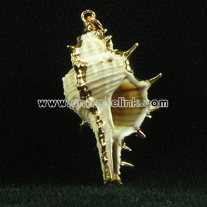 Real Shell Pendant with Gold Binding