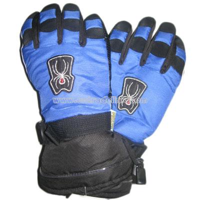 SKI Glove