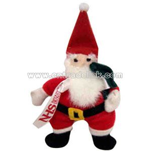 Santa Custom