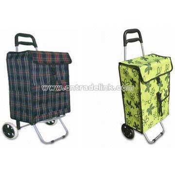 Shopping Cart/Bag