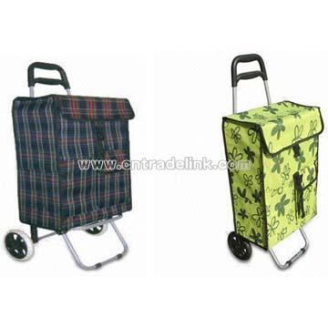 Shopping Cart/Bag