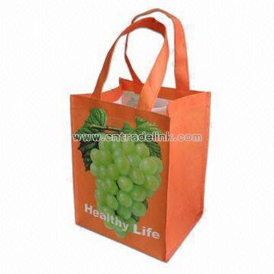 Shopping Gift Bag