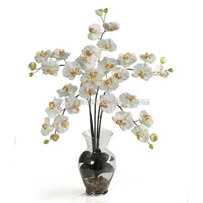 Silk Orchid Artificial Flower Arrangement - Phalaenopsis Liquid Illusion-Cream