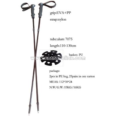 Ski Poles