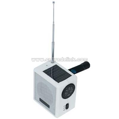 Solar Radio