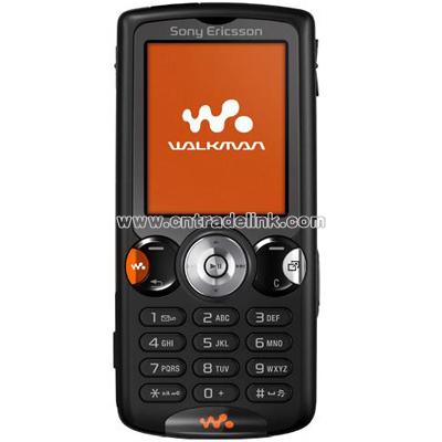 Sony Ericsson W810C Mobile Phone