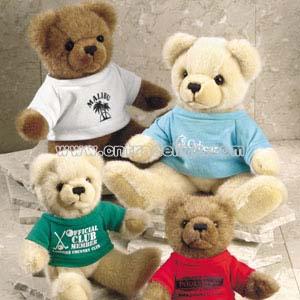 Teddy Bear with Important Tee Shirts