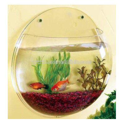 Wall Mini Aquarium