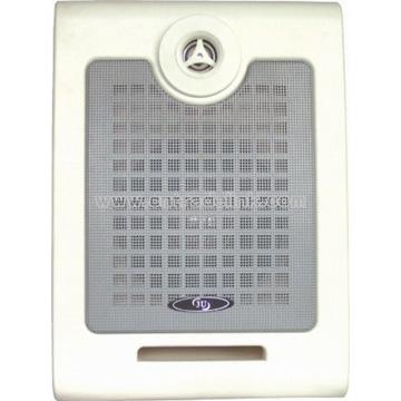 Wall Speaker