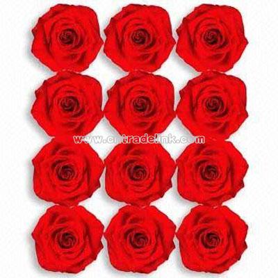 Wall Stickers