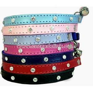 pet collar