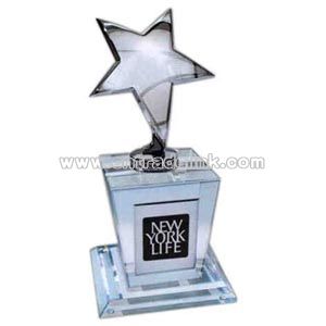 silver star award